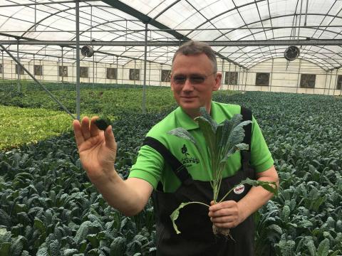 Global Food Industries ‘Aqua Kale’ to address UAE’s growing demand for healthy food