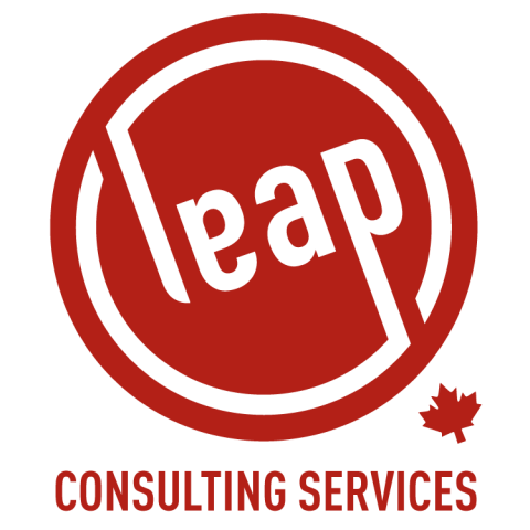Leap Consulting Services has been selected to deliver the "First 100 Days" Master Class in Turkey
