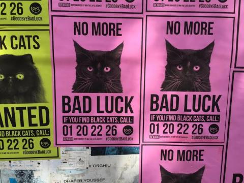 Loto Black Cats Campaign #GoodByeBadLuck