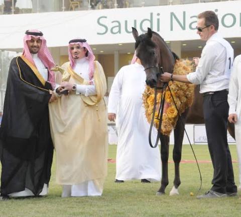 STC Advanced Solutions participates as Gold Sponsor of Saudi National Arabian Horses Championship Show