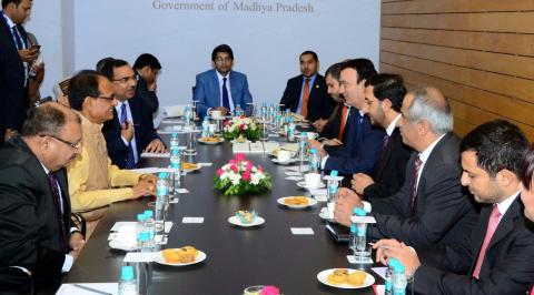 UAE participates in Global Investors Summit in India