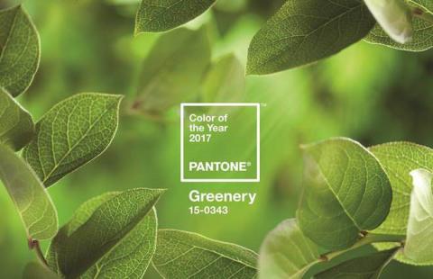 Pantone reveals 15-0343 Greenery as its 2017 Color of the Year
