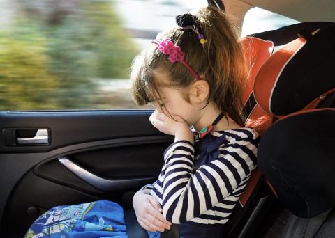 Car Sickness Research to Put Brakes on Family Road Trip Curse – That Even Affects the Pet Goldfish