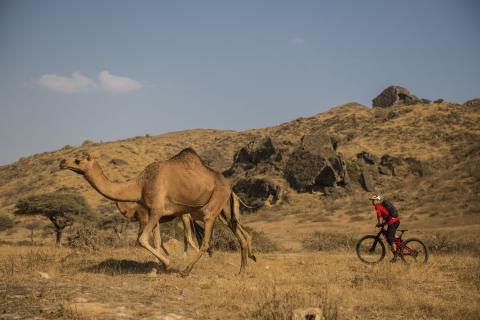 Exploring the perfect path in Oman between the charms of nature and pristine beaches