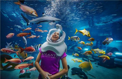DIVE INTO THE 30TH ANNIVERSARY OF SHARK WEEK WITH SPECIAL MARINE OFFERS AT ATLANTIS, THE PALM